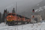 All ACes! - BNSF 8556